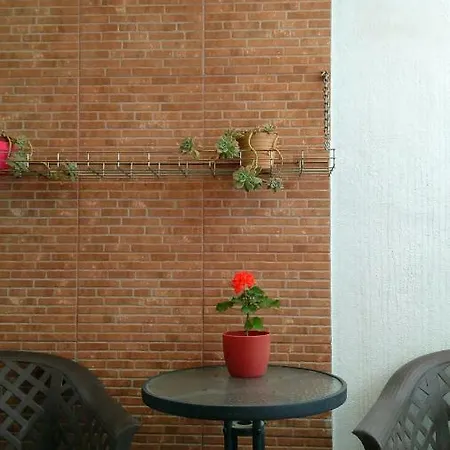 Bonito Vacaciones En *